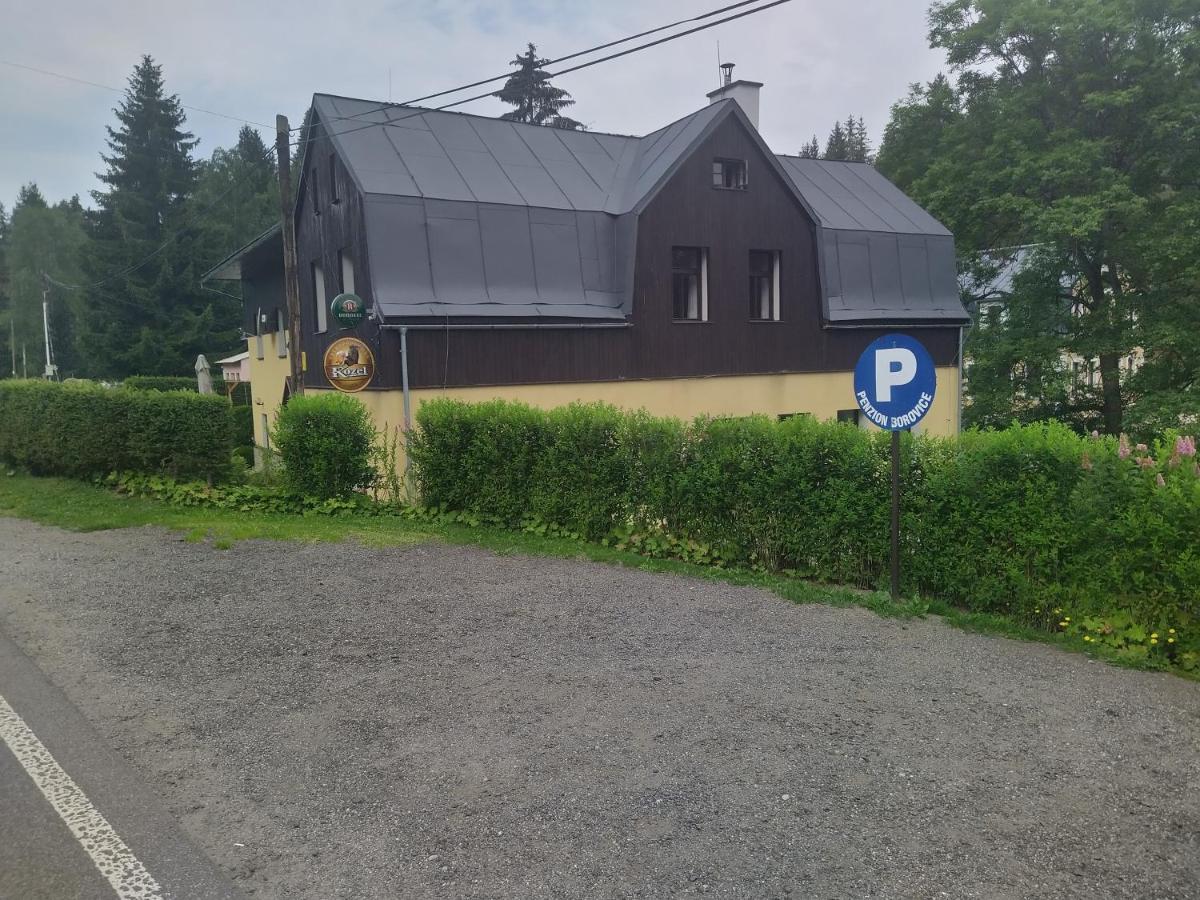 Penzion Borovice Josefuv Dul Exterior foto