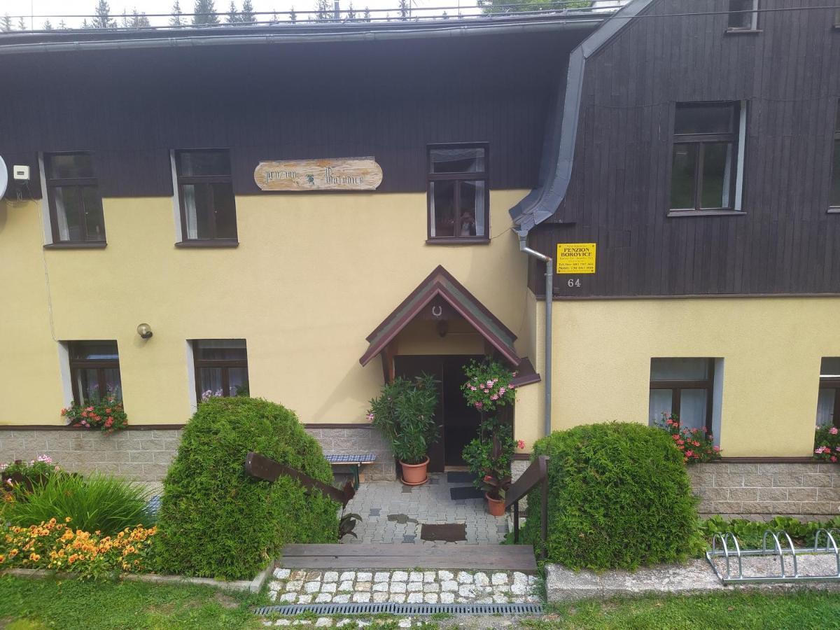 Penzion Borovice Josefuv Dul Exterior foto